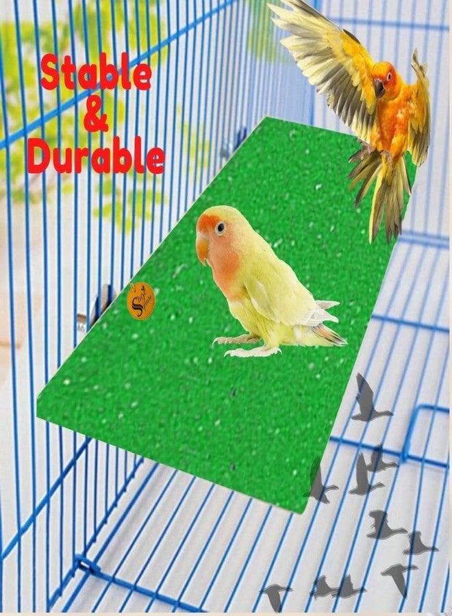 Sage Square Sand Platform Made of Natural Wood, Combo of Two (3 * 4.5 & 9 * 4.5 inches) Rectangle Shaped Perch Stand, Cage Accessories, Gym, Playful Toy, Suitable for Birds, Parrots, Budgies - Image 4